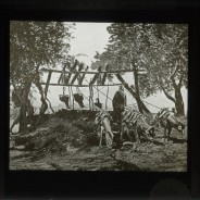 Böhl glass slide 10./1139